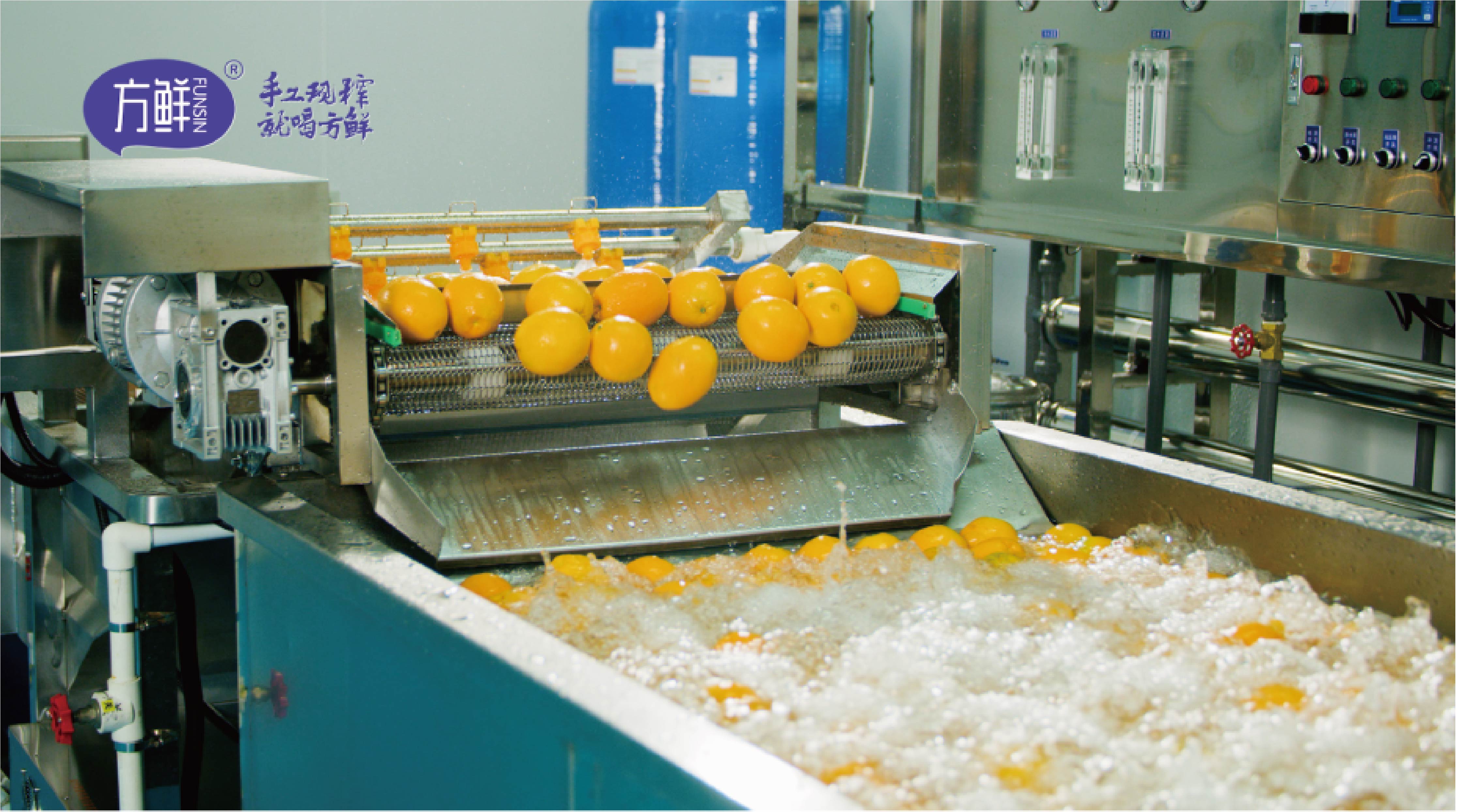 Beverage Innovation & Customization
