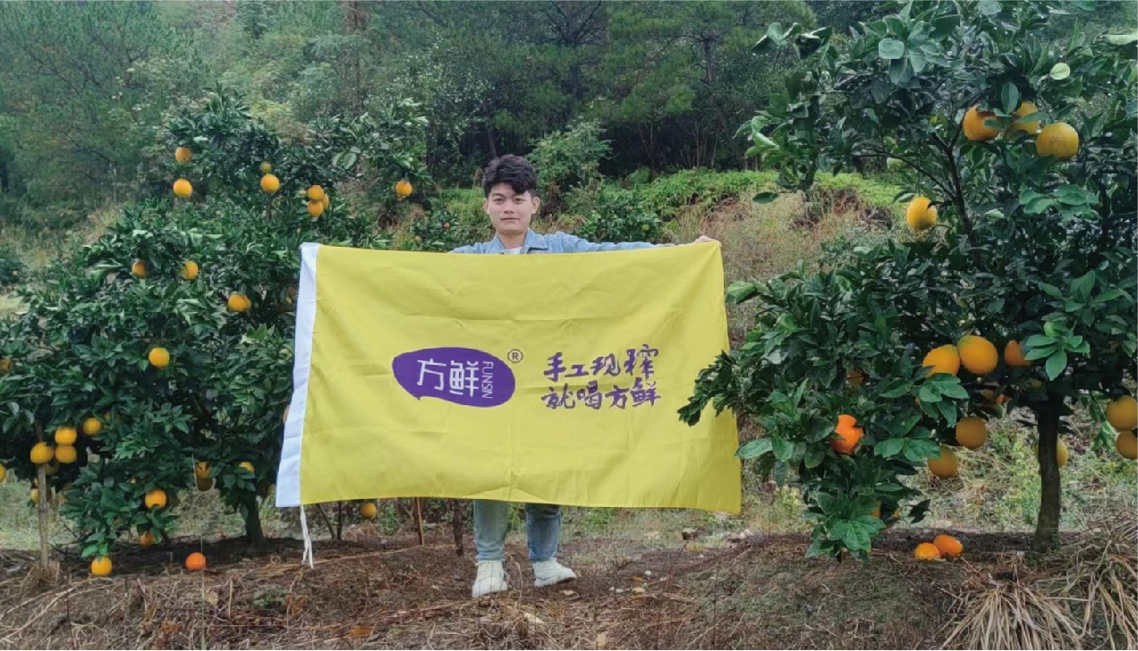 Navel Orange Base — Ruijin, Ganzhou, Jiangxi