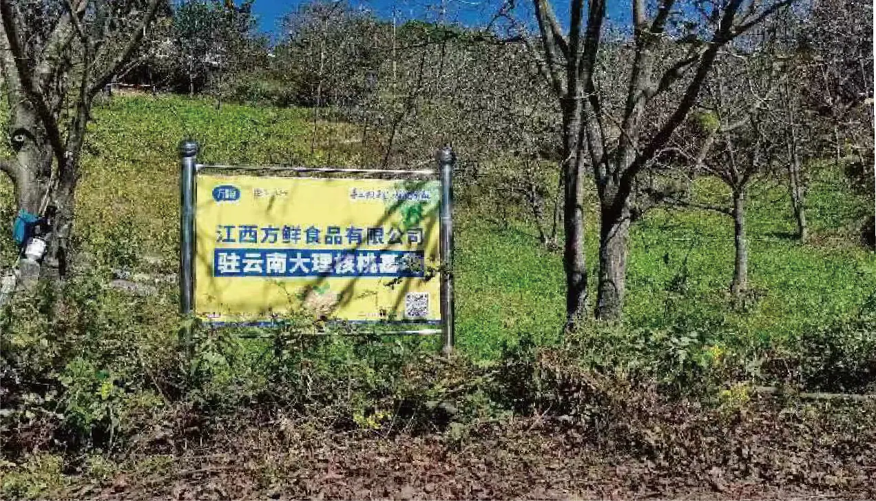 方鲜原料种植基地展示