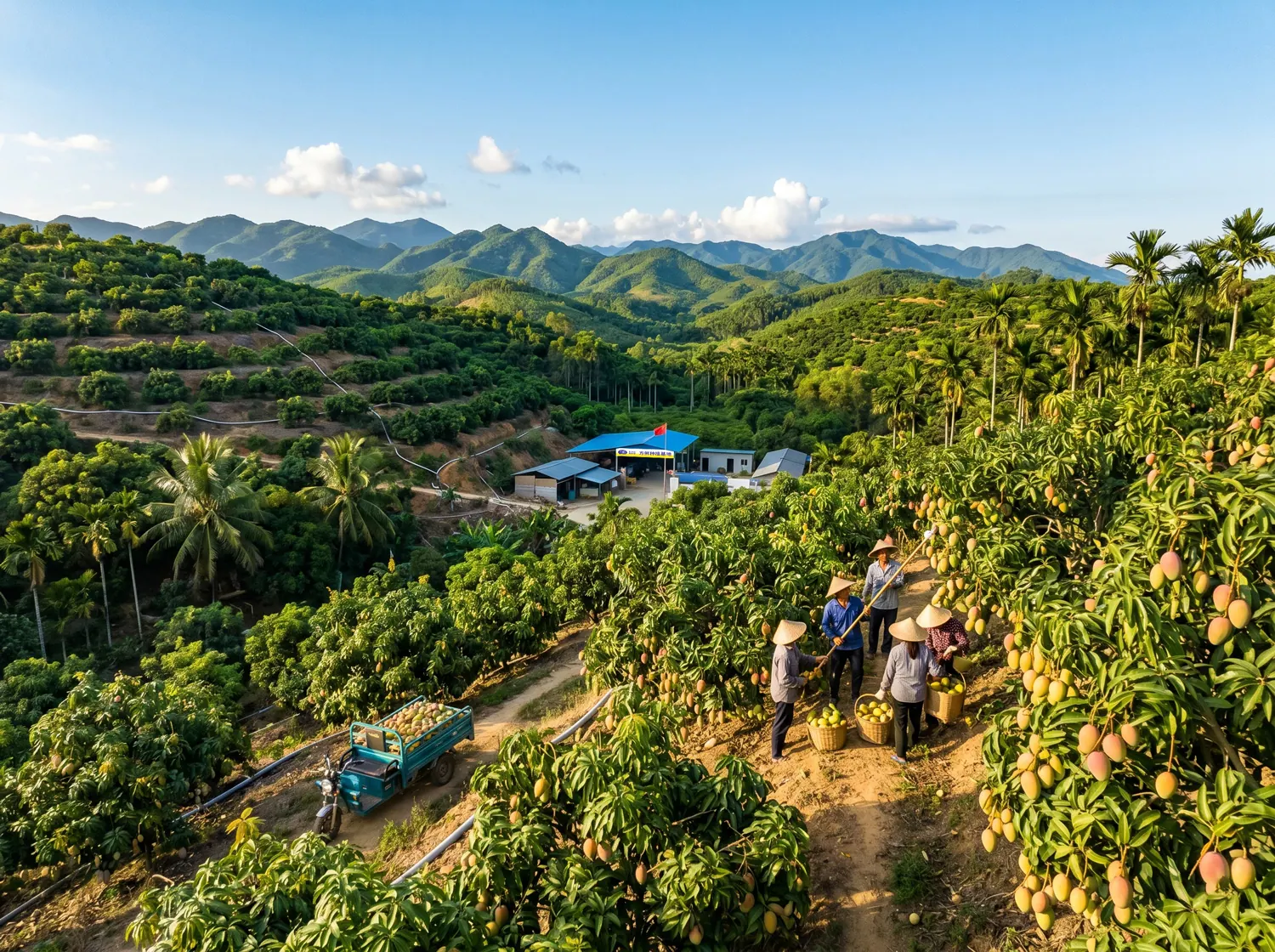 山间果园与种植设施