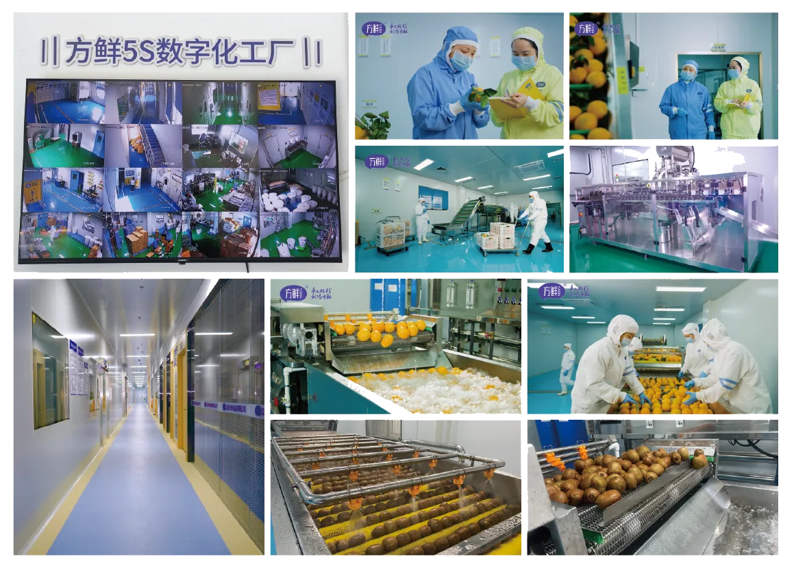 方鲜数字化工厂与生产流程照片汇集