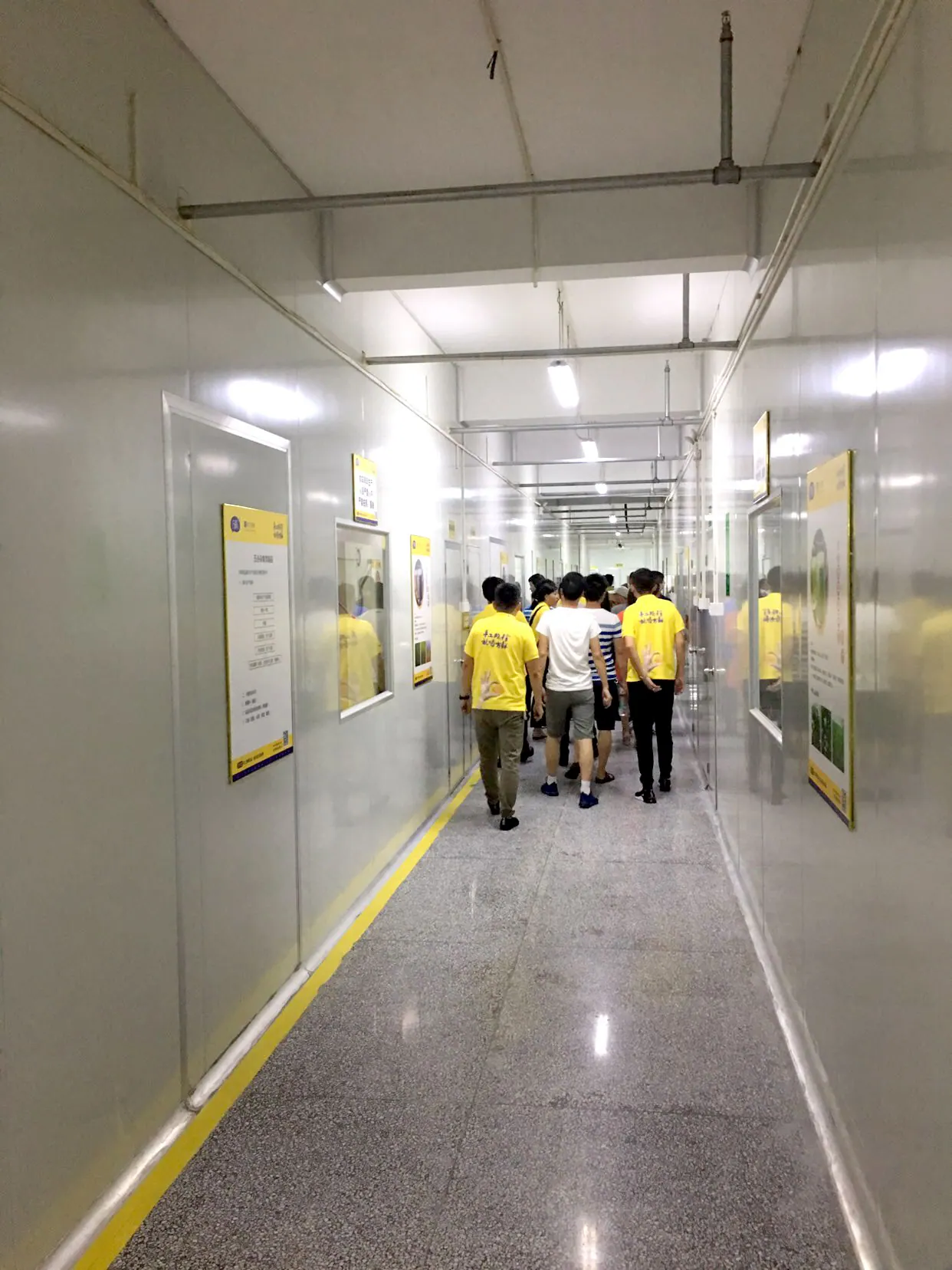 来访客户走过生产参观通道